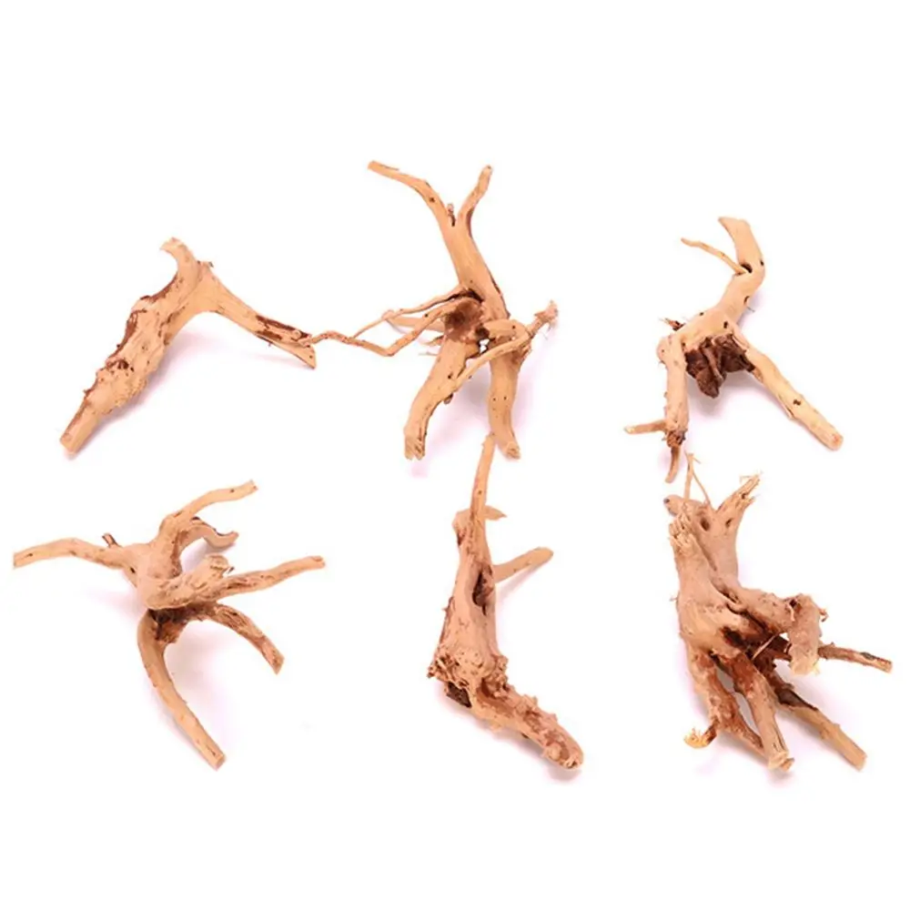 8-10cm