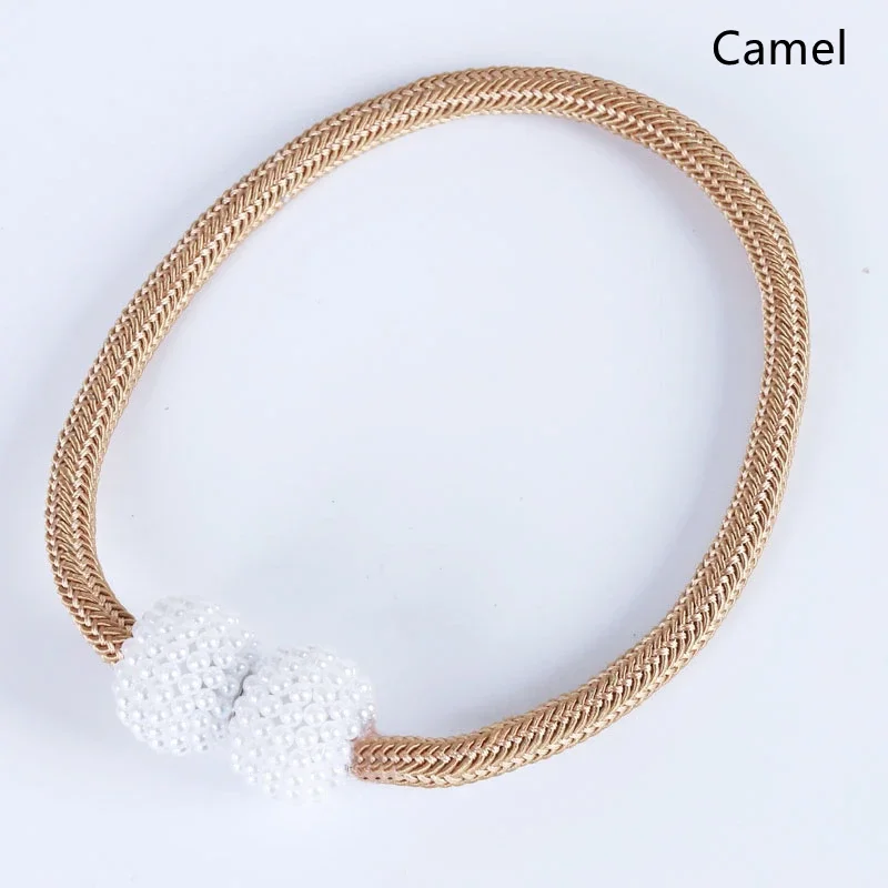 Camel