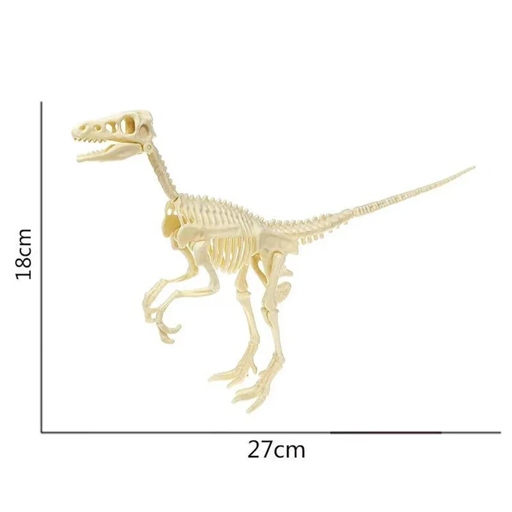 Raptor Skeleton