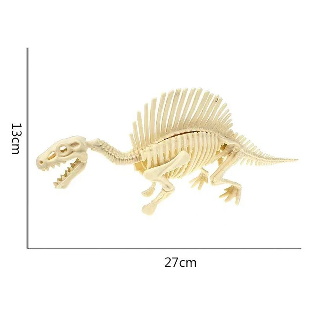 Spinosaurus Skeleton