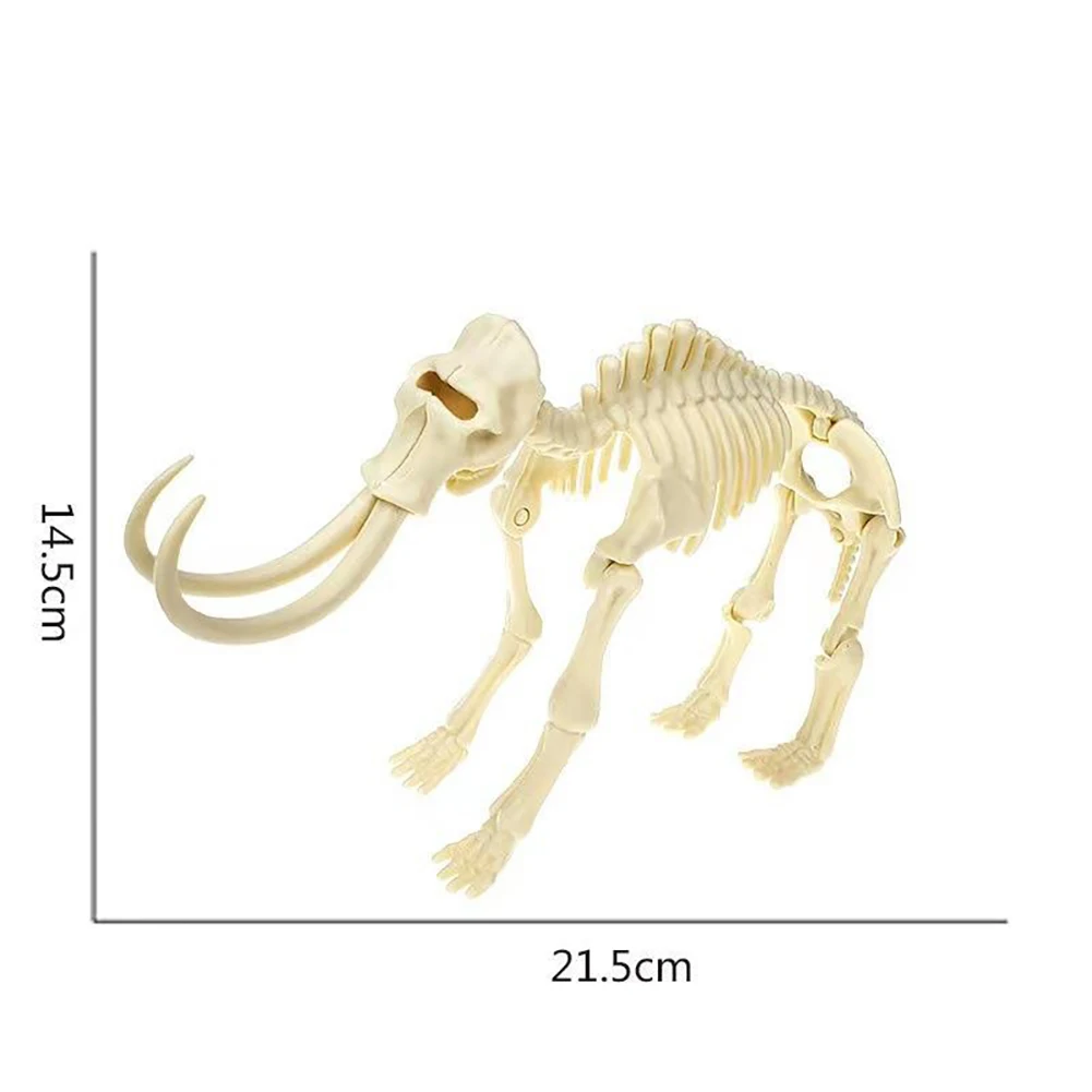 Mmammoth Skeleton