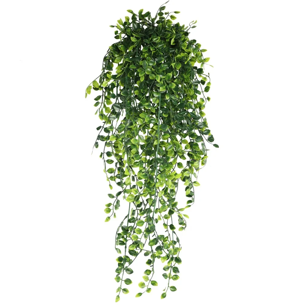 Ivy leaf