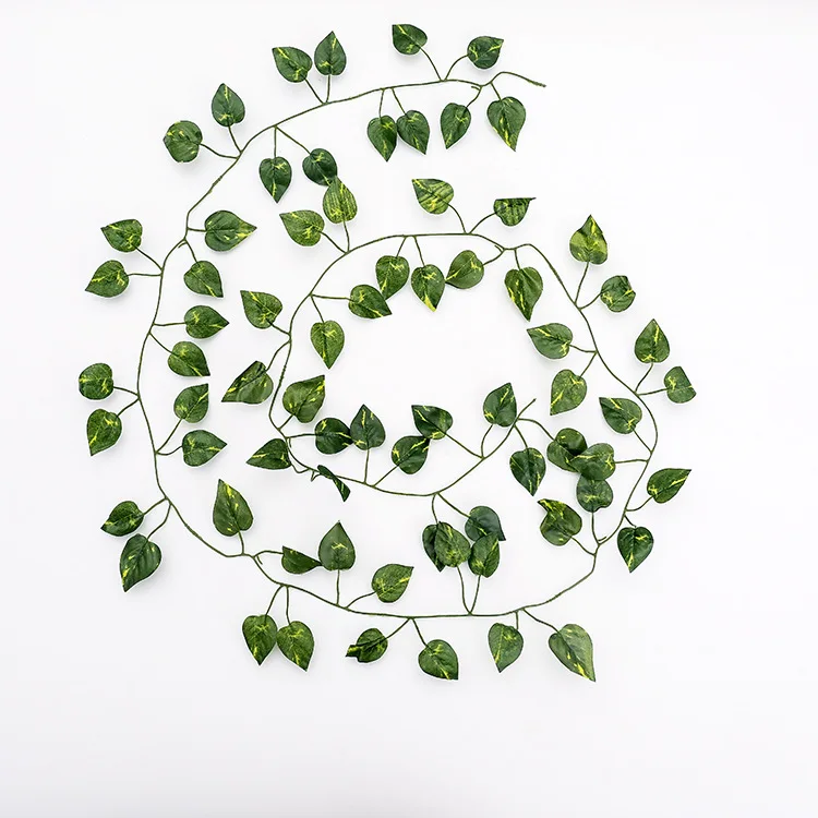 Green radish