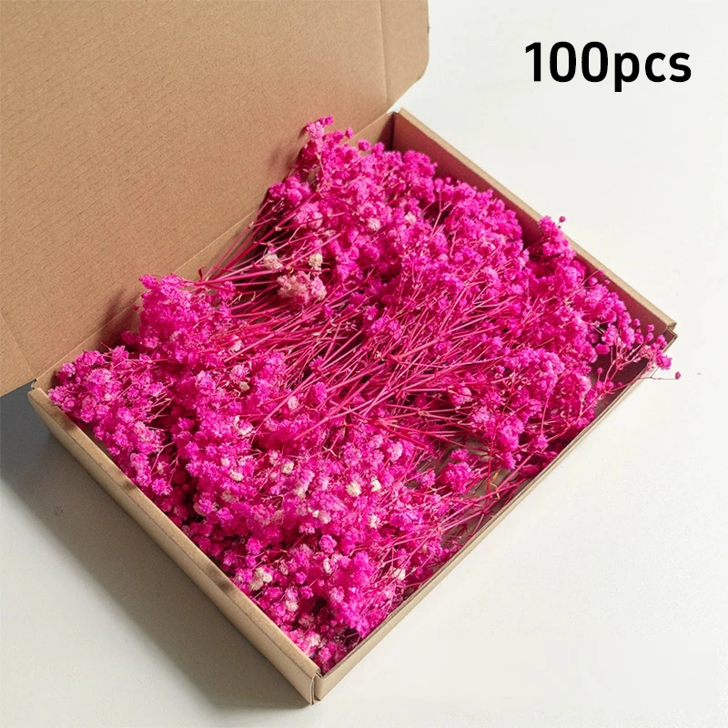 Pink (Style E)
