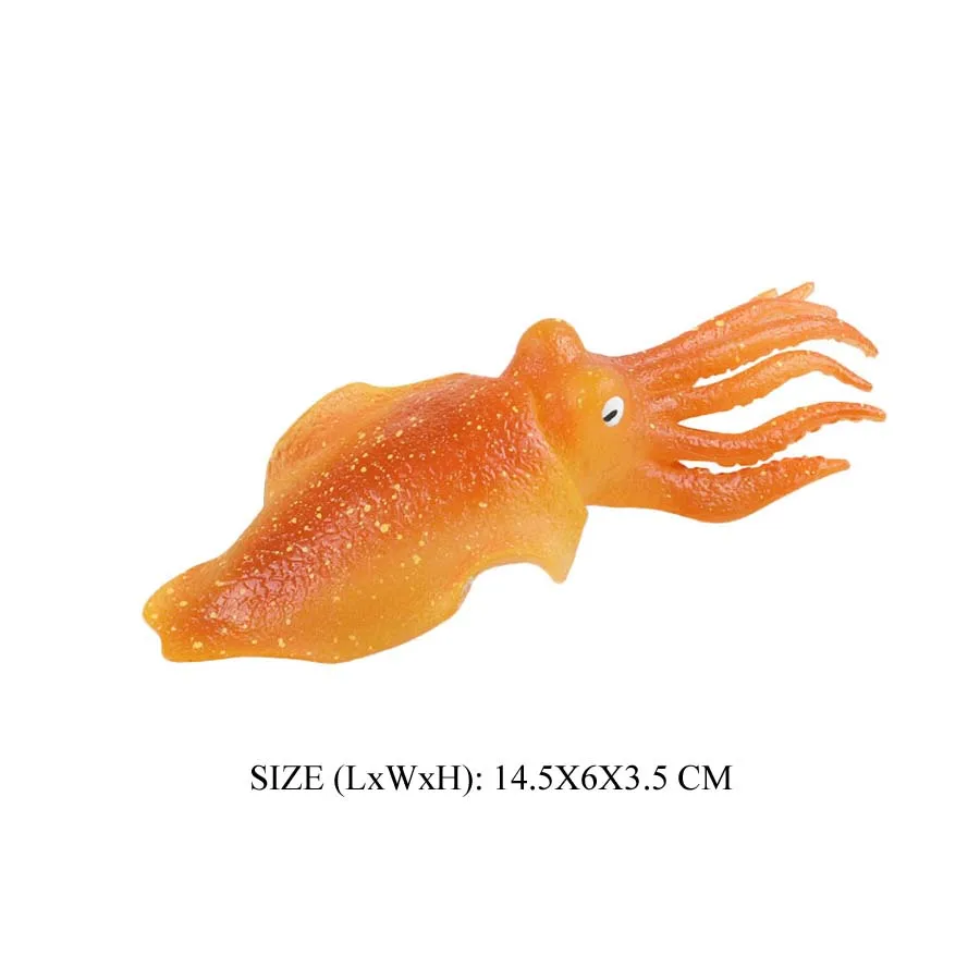 Color squid-11