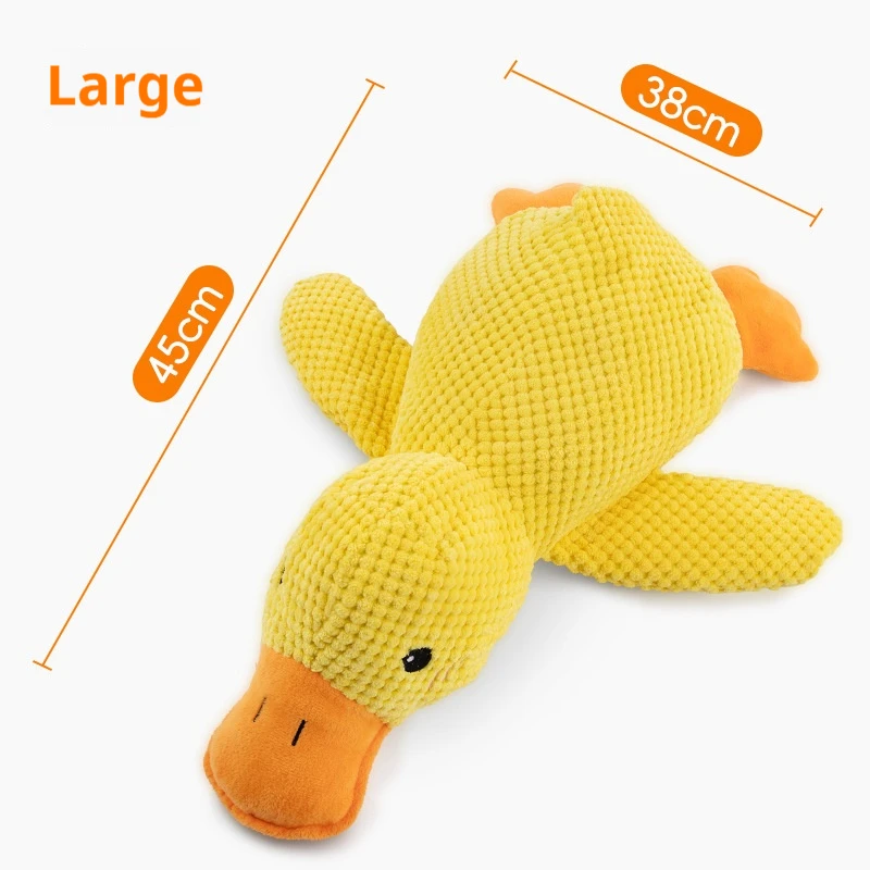 Big Duck